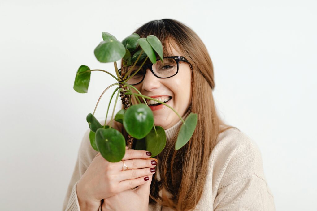 Indoor plants